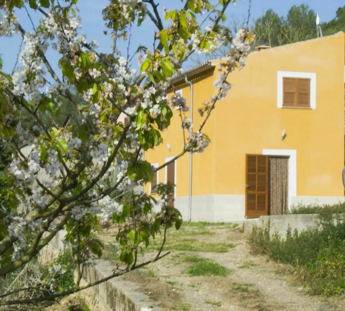 Villa Es Morro Manacor  España